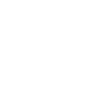 電子